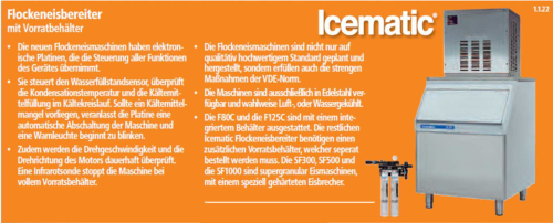 F 125 C und F 125 CW Flockeneisbereiter mit Vorratsbehälter-F125CM--icematic